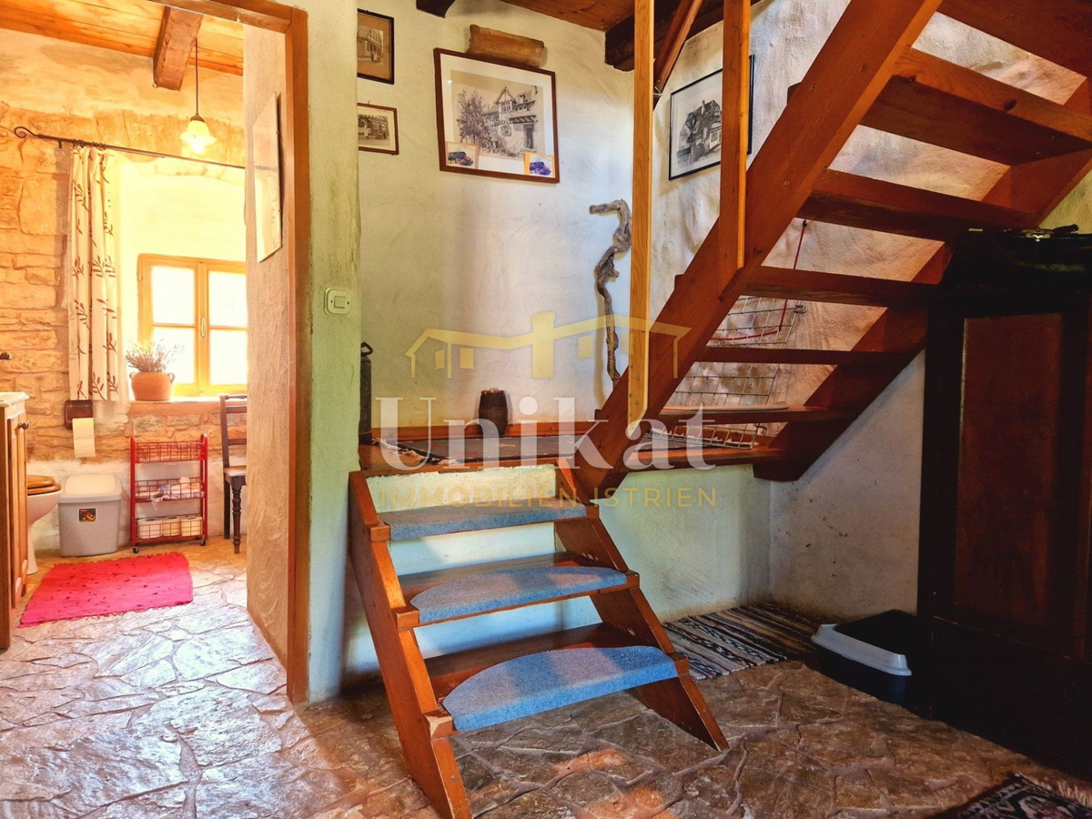 Avtentično posestvo s kamnito hišo in velikim zemljiščem